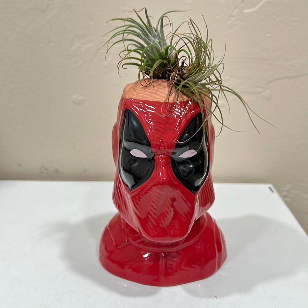 Marvel Deadpool Ceramic Chia Planter Vase with Live Airplants